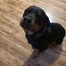 Dave Graff - Facebook