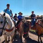 Dave Graff - @davybo2000 - Instagram
