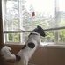 Dave Grandy - Facebook