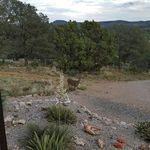 Dave Granger - @granger.dave - Instagram