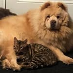 Dave Gratton - @daveghd1 - Instagram