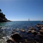 David Gratton - @grattondp - Instagram