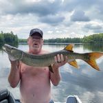 Dave Greer - @dave.greer66 - Instagram
