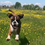 Dave Gregg - @davegregg41 - Instagram