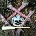 David Grimsley - @dgcustomcalls - Instagram
