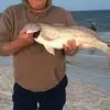 David Grinnell - @david.grinnell54 - TikTok