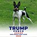 David Groce - Facebook