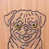 Dave Groll765 - @bogartthehandsomepug - TikTok