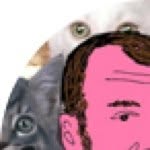 @davegroll.mov - Instagram