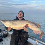 David Gross - @david.gross144 - Instagram
