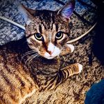 David Gross - @david.gross.564813 - Instagram
