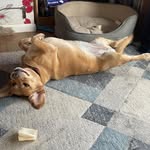 Dave Grove - @davidgrove1202 - Instagram