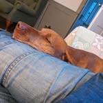 Dave Grove - @dave.grove.735 - Instagram
