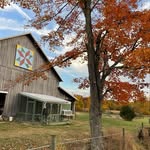 Tricia and Dave 👩🏻‍🌾🧑‍🌾- Juniper Grove Homestead - @juniper_grove_homestead - Instagram