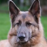 Dave Groves - @dave.photos1974 - Instagram