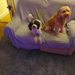 Dave Groves - @groves_dave - Instagram