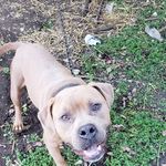 Dave Groves - @dave.groves.315 - Instagram