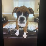Dave Grubb - @dave.grubb.9 - Instagram