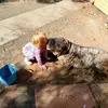 Dave Grubb - @dave.grubb - TikTok