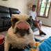 Dave Guerra - Facebook