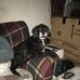 Dave Guertin - Facebook