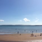 Dave Guest - @dave.guest - Instagram
