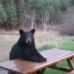 Dave Guest - @dave.guest.18 - Instagram