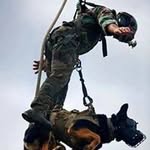 Dave Guevara - @dave.guevara.3 - Instagram