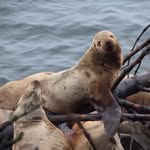 Dave Gummeson - @davegummeson - Instagram