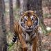 Dave Guss - Facebook