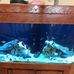 Dave Ha - Facebook