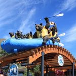 Dave Hansen River Trips - Jackson Hole River Rafting - @davehansenrivertrips - Instagram
