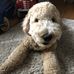 Dave Haag - Facebook