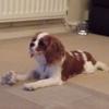 Dave Hackett332 - @davehackett2412 - TikTok