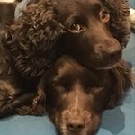 David Hadden - @theherbyside - Instagram