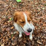 Dave - @dave.hagenaar - Instagram