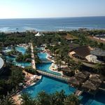 Dave Hage - @daveh19772021 - Instagram