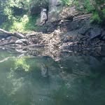 Dave Hageman - @dave.hageman.96 - Instagram