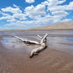 David Hagerman - @hagerman.david - Instagram