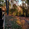 David Hagerman - @david.hagerman5 - TikTok