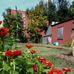 The Dave Hagerty Community Garden - Facebook