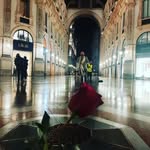 Dave Haig - @papito_haig - Instagram