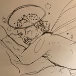 David Haight - @papajawns69 - Instagram