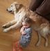 David Halberg - Facebook