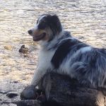 Dave Haldin - @haldindave - Instagram