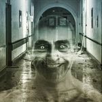 David Haley - @davehaley - Instagram