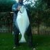 Dave Halliday - Facebook