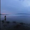 David Halliday - @davidhalliday3 - TikTok