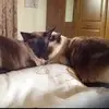 davehamby158 - @davehamby158 - TikTok