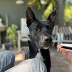 Dave Hammond - @dahammie - Instagram